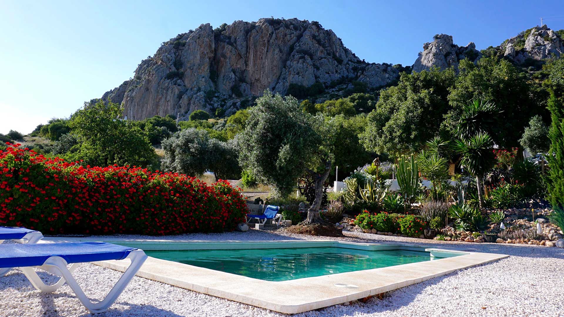 Olive Branch El Chorro - Camping, Bunkhouse and En suite accommodation